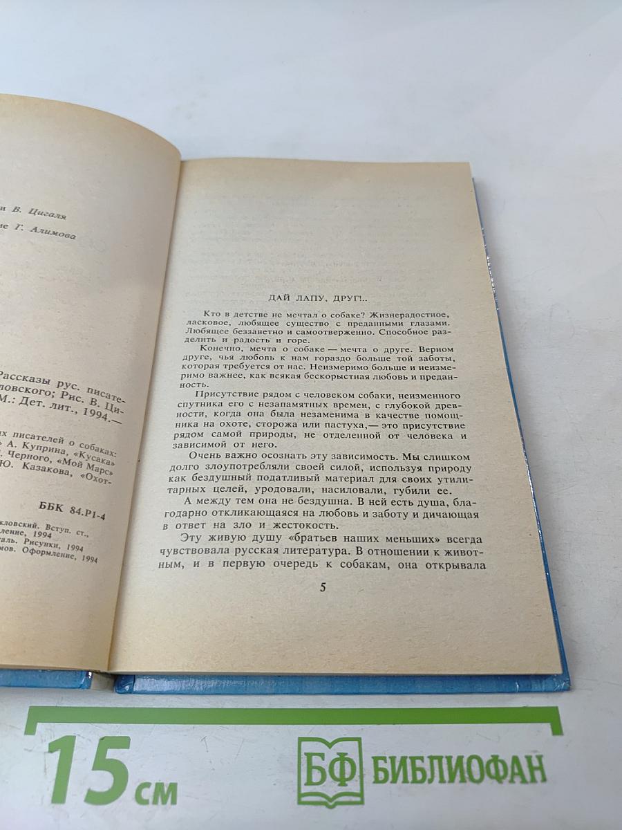 Мои собачьи мысли