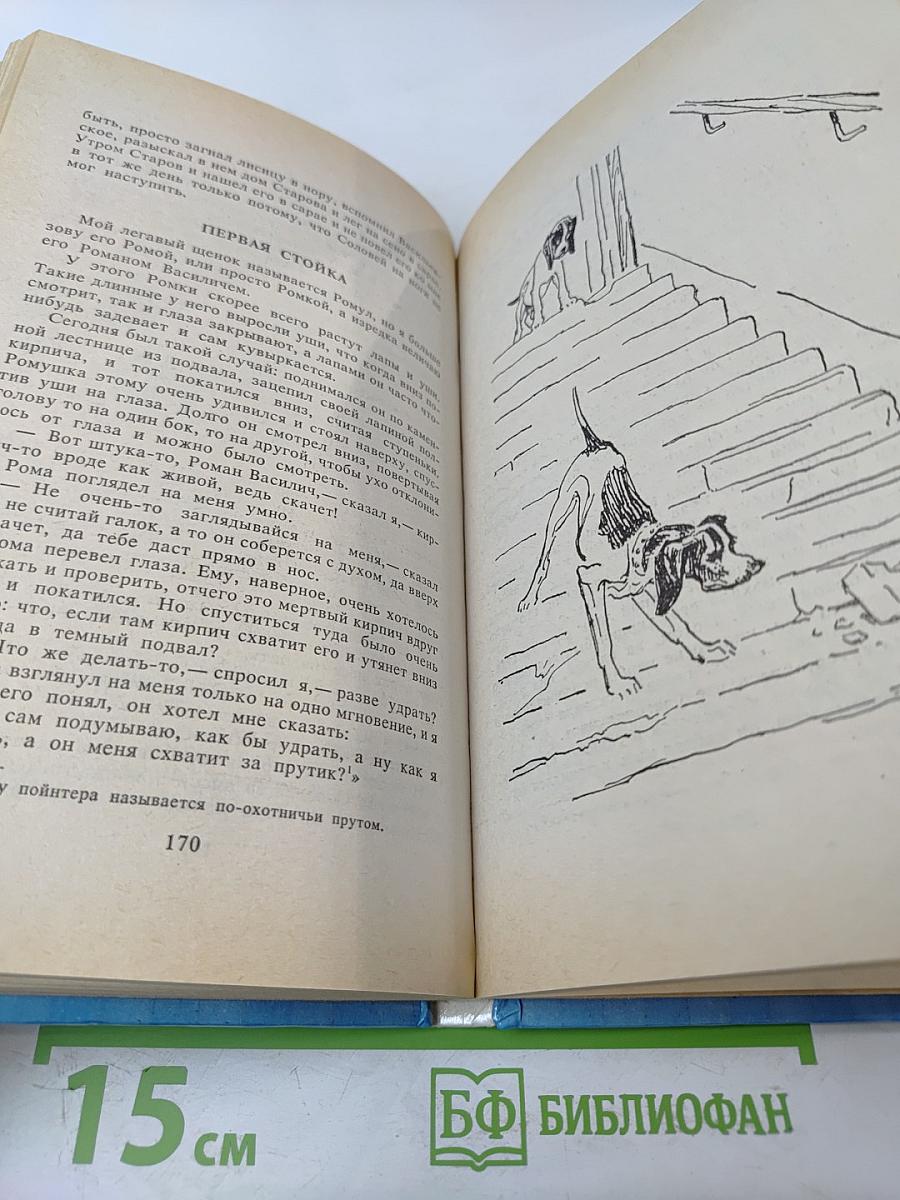 Мои собачьи мысли