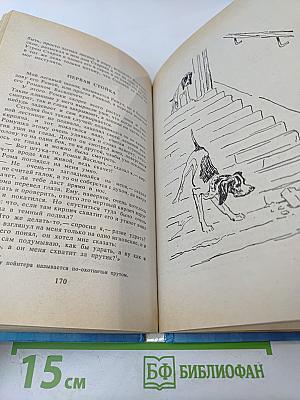 Мои собачьи мысли