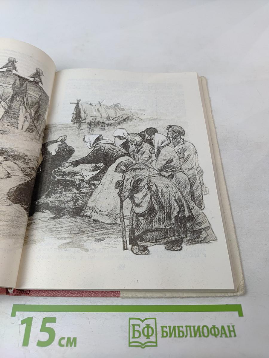 Северное сияние. Книга первая