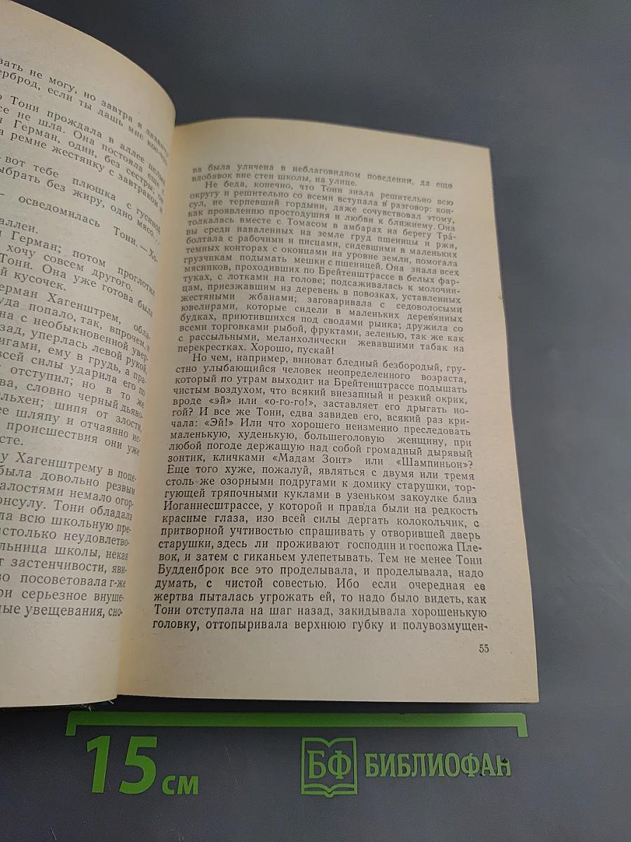 Будденброки. История гибели одного семейства