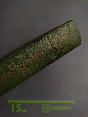 Будденброки. История гибели одного семейства