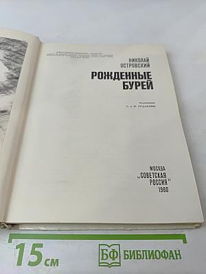 Рожденные бурей