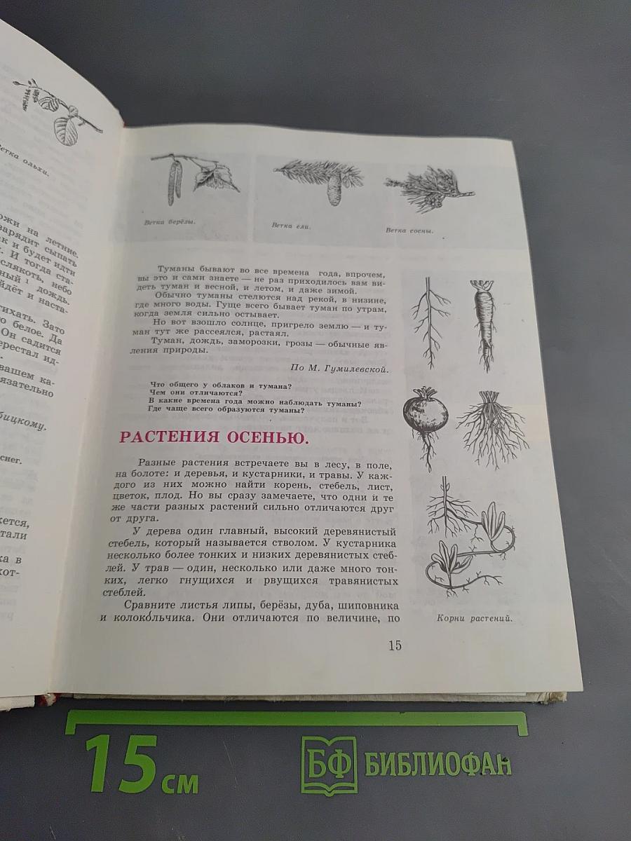 С любовью к природе