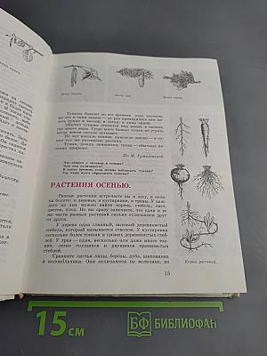 С любовью к природе