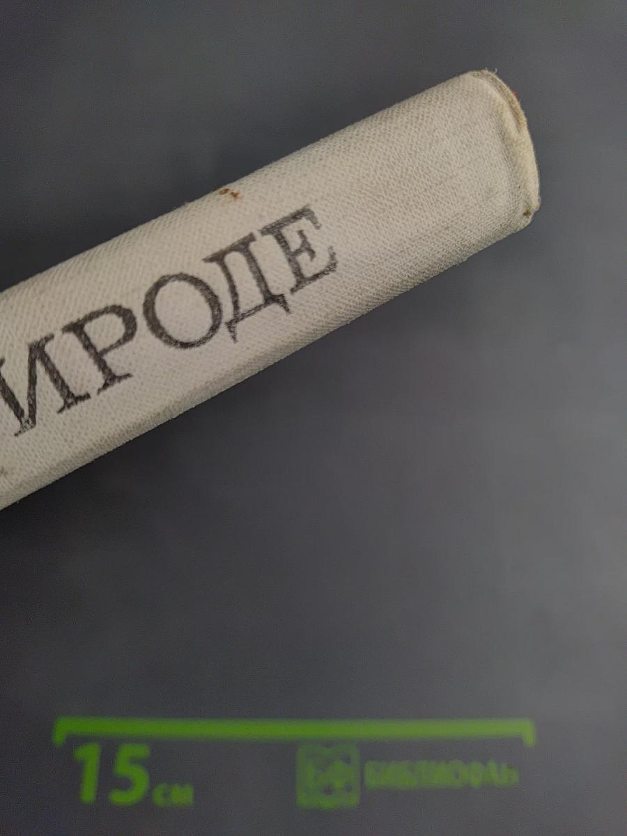 С любовью к природе