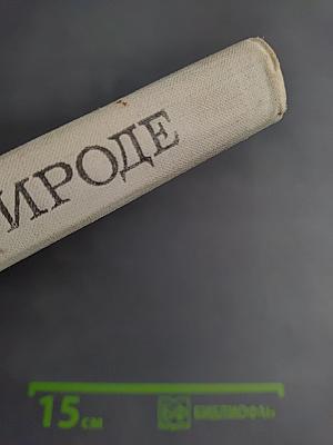 С любовью к природе