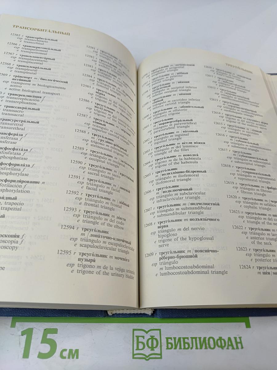 Русско-испанско-английский словарь по морфологии человека