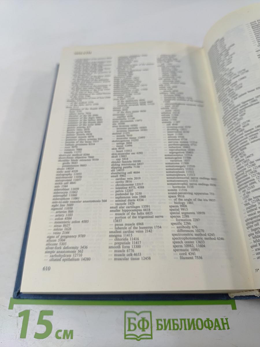 Русско-испанско-английский словарь по морфологии человека