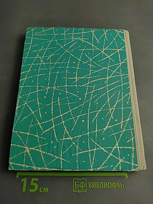 День поэзии