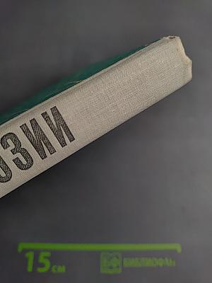 День поэзии