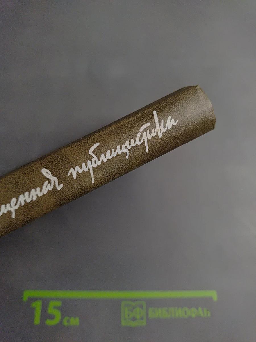 Возвращенная публицистика. Книга 1 (1900-1917)