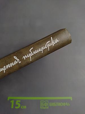 Возвращенная публицистика. Книга 1 (1900-1917)