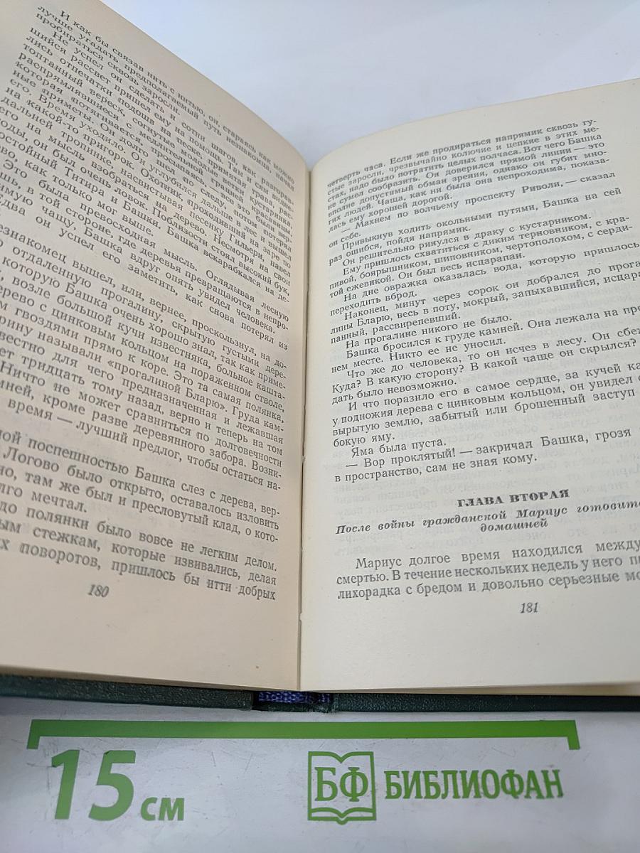 Отверженные. Том 8. Часть пятая