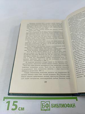 Отверженные. Том 8. Часть пятая