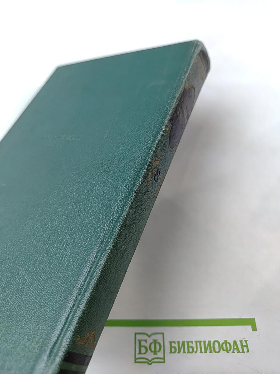 Отверженные. Том 8. Часть пятая