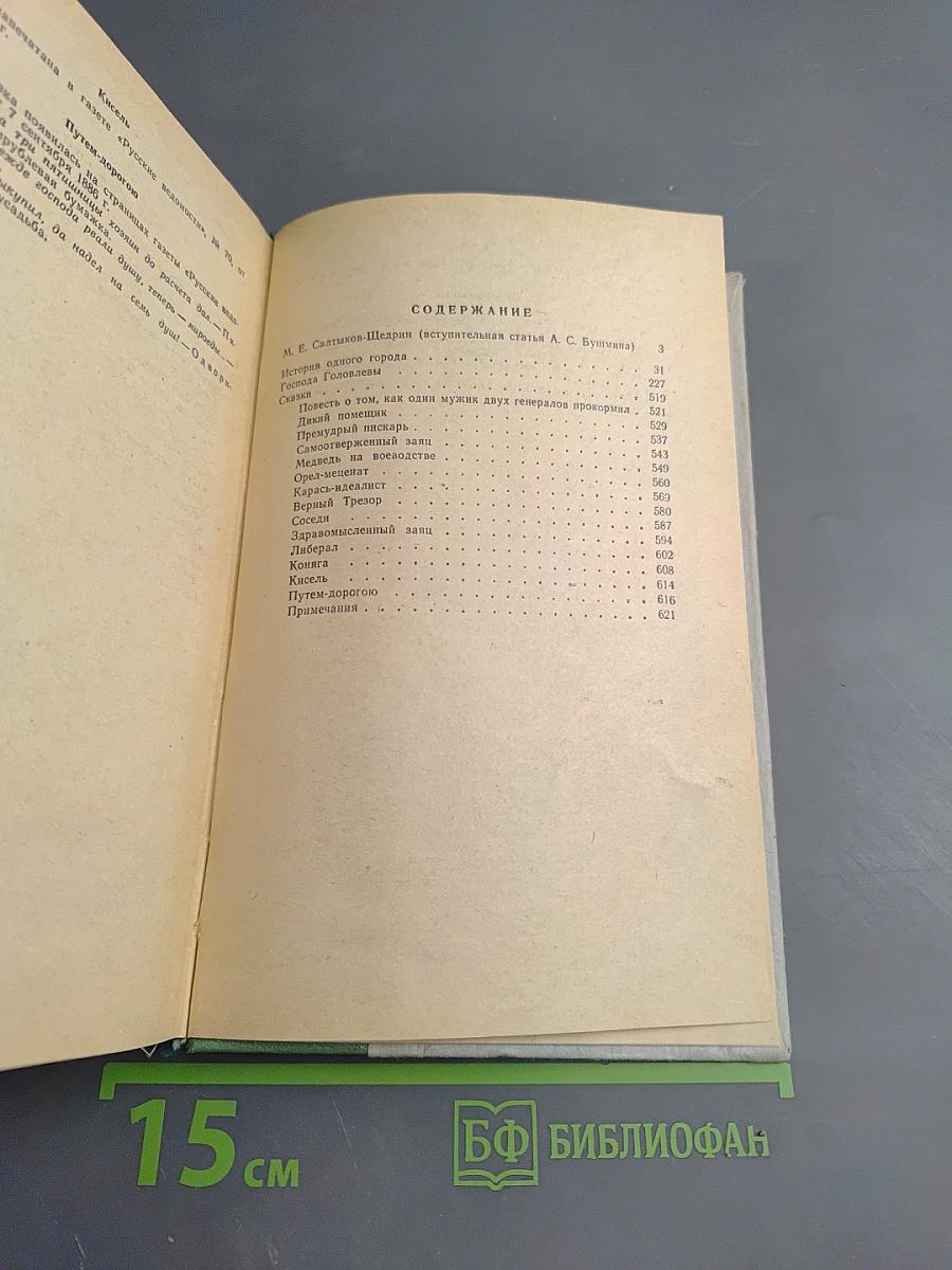История одного города. Господа Головлевы. Сказки