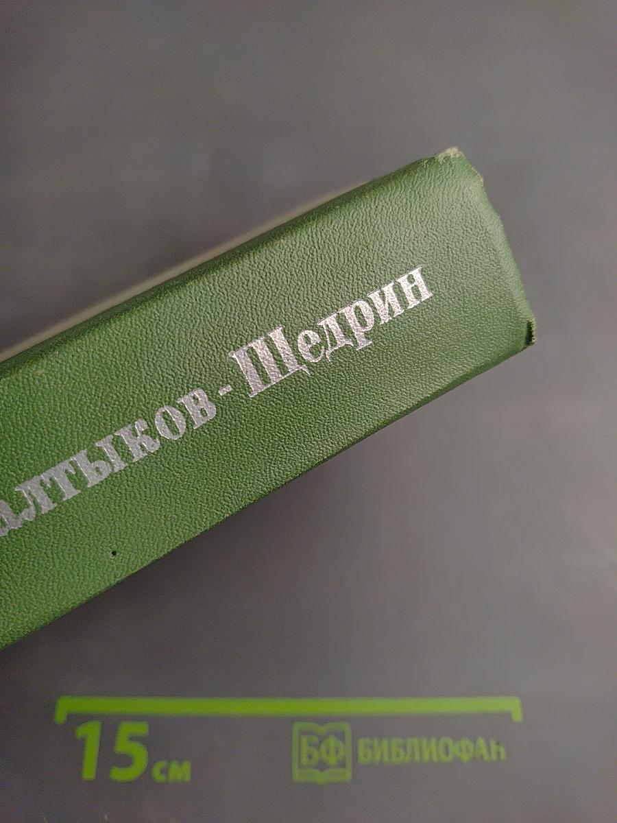 История одного города. Господа Головлевы. Сказки