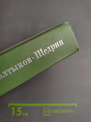 История одного города. Господа Головлевы. Сказки