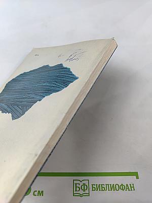 Остров Затерянных