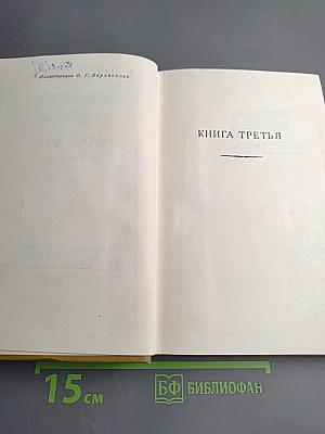 Тихий Дон. Книга третья (Собрание сочинений, Том 4)