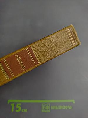 Тихий Дон. Книга третья (Собрание сочинений, Том 4)