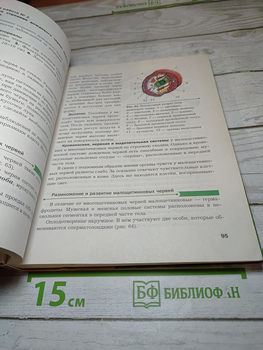 Биология. 8 класс