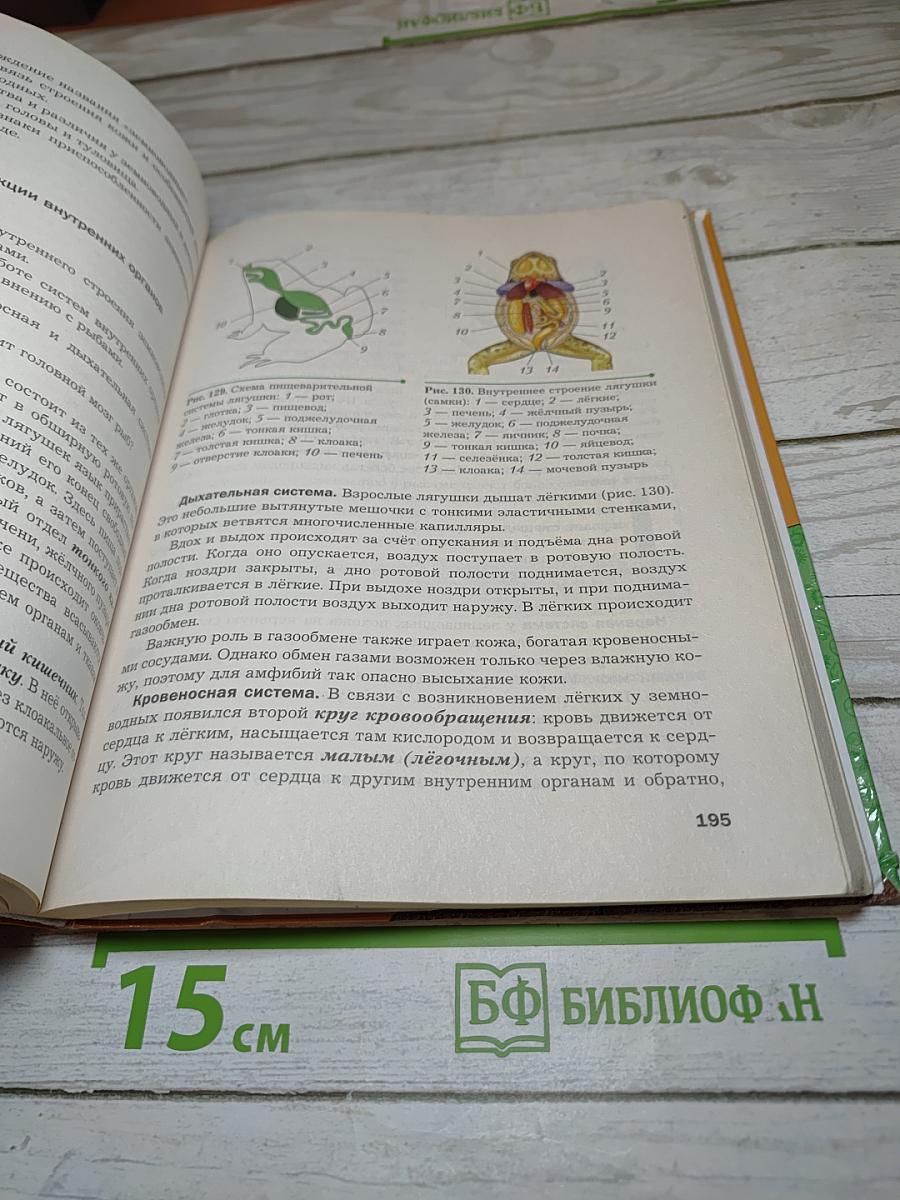Биология. 8 класс