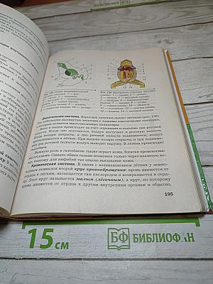Биология. 8 класс