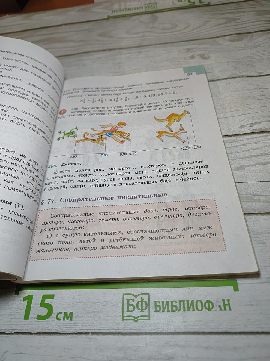 Русский язык 6 класс. Часть 2