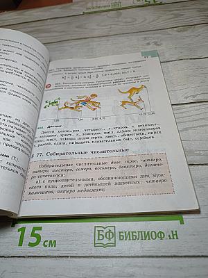 Русский язык 6 класс. Часть 2