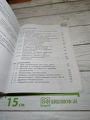 Русский язык 6 класс. Часть 2