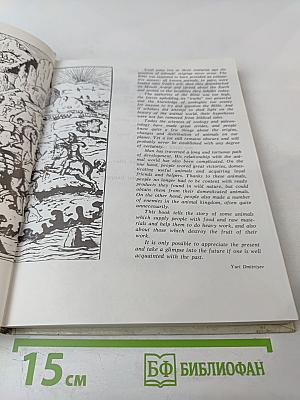 Animals on a Pedestal