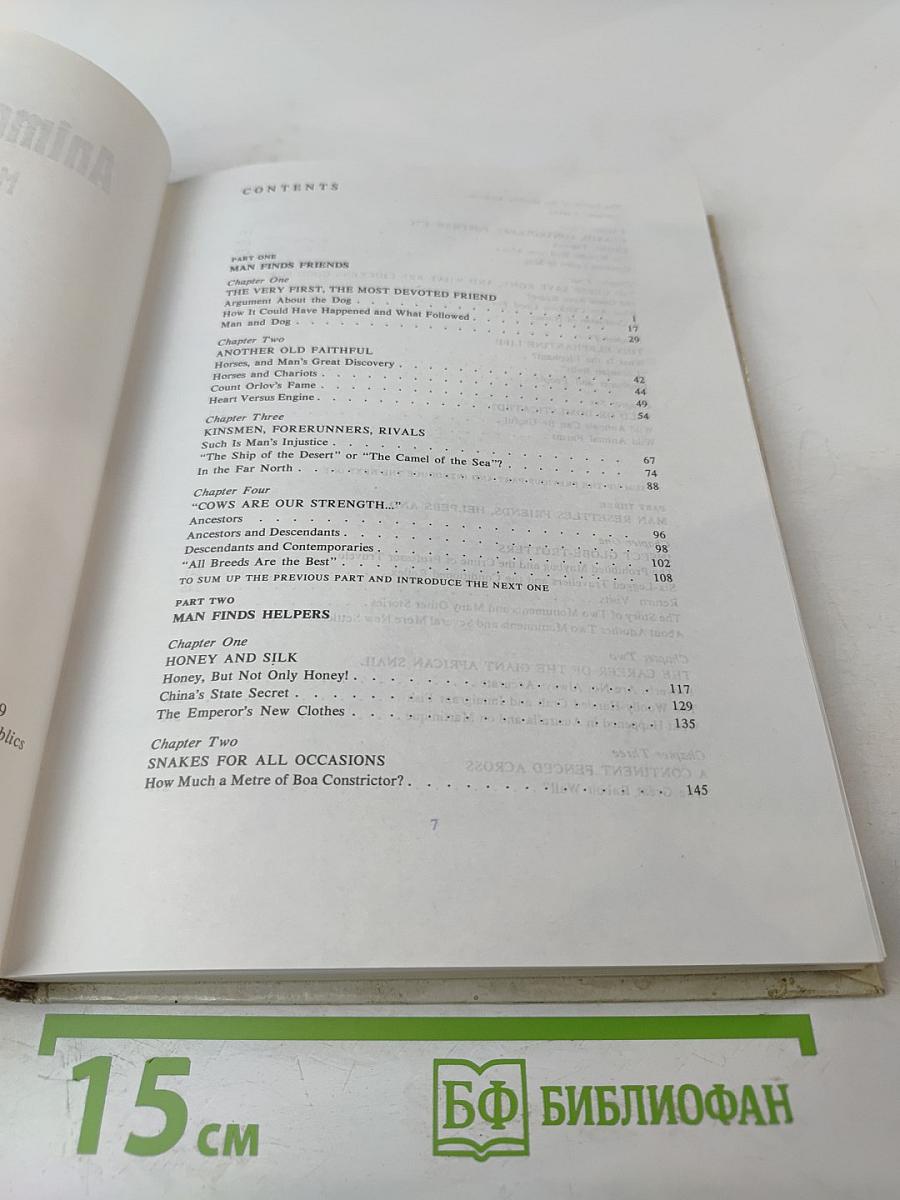 Animals on a Pedestal