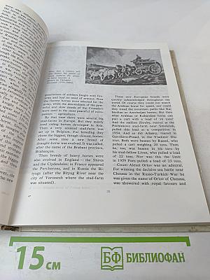 Animals on a Pedestal