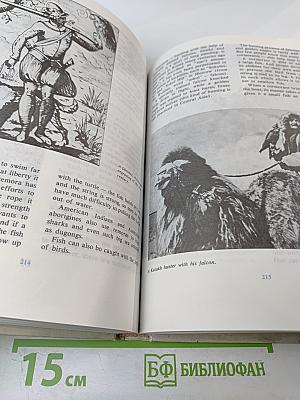 Animals on a Pedestal