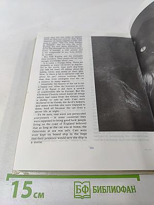 Animals on a Pedestal