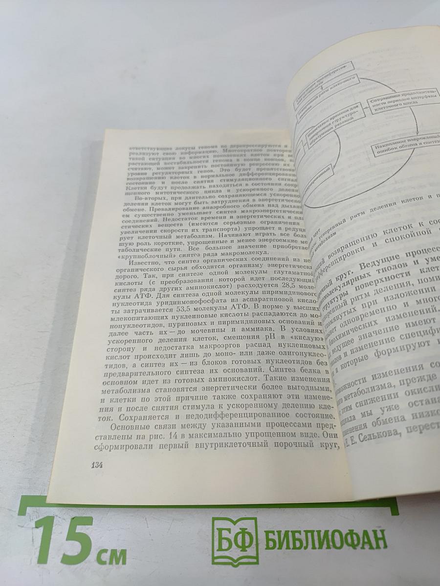 Биофизика познает рак