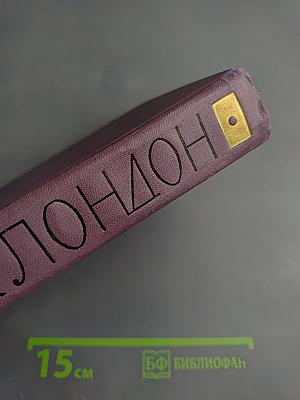 Мартин Иден