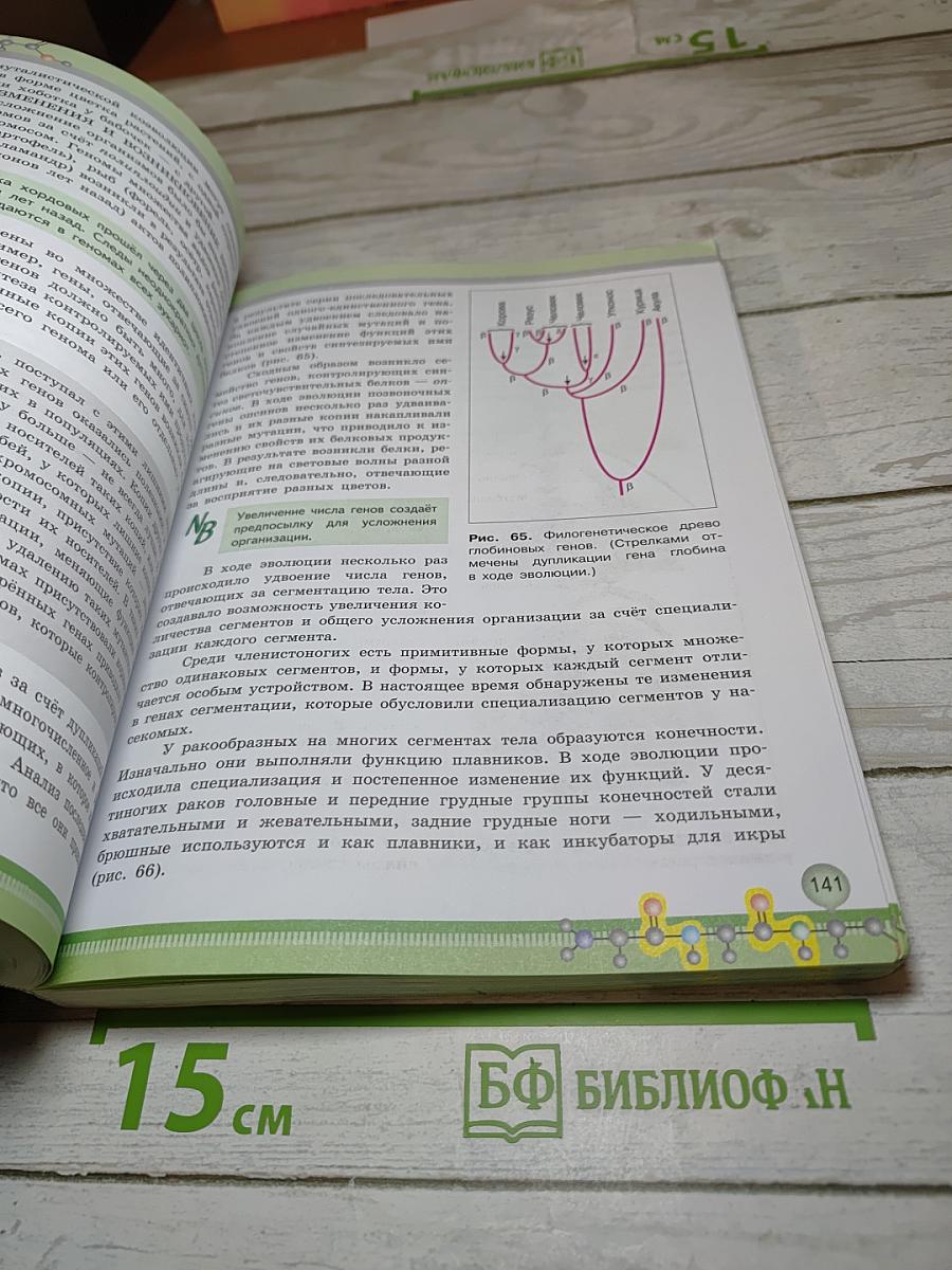 Биология 11 класс, Углубленный уровень