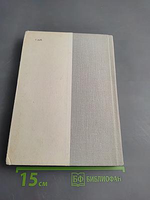 Северное сияние. Книга вторая