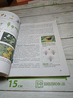Биология 6 класс