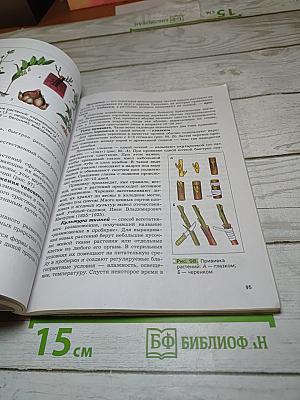 Биология 6 класс