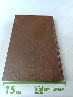 Творческие дневники Достоевского