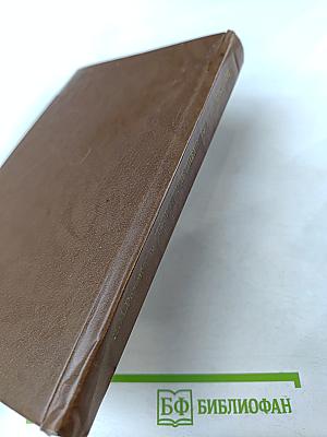 Творческие дневники Достоевского