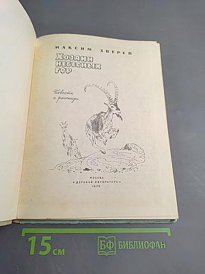 Хозяин небесных гор