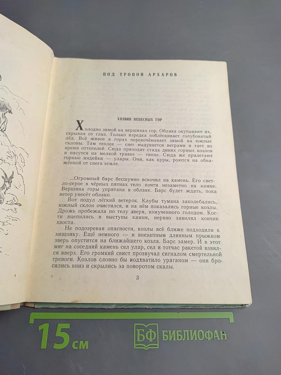 Хозяин небесных гор