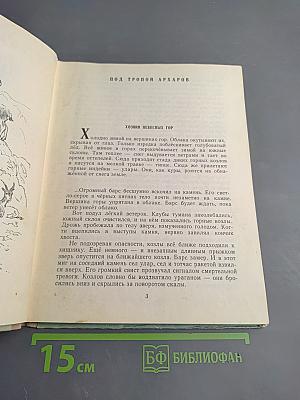 Хозяин небесных гор