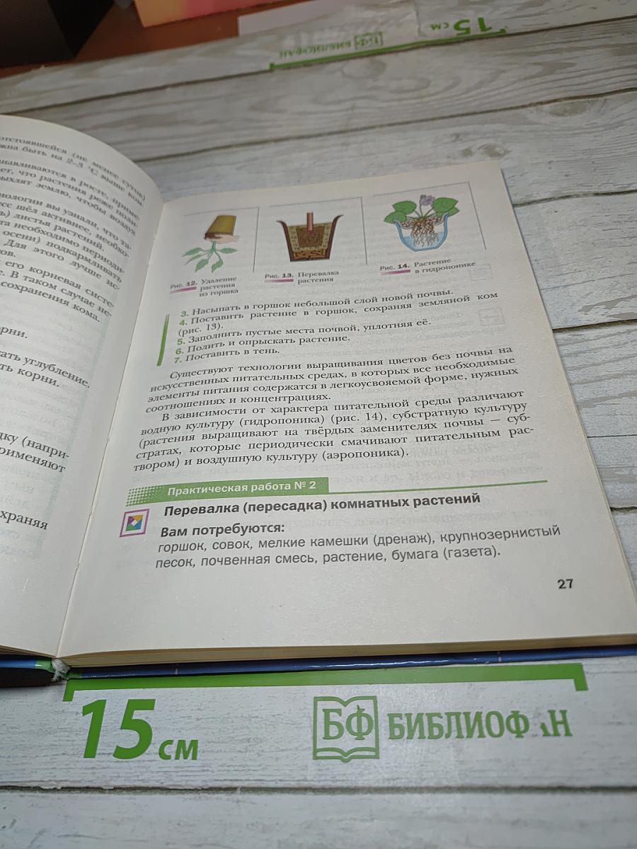 Технология: Технологии ведения дома 6 класс