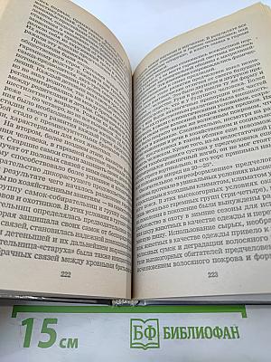 Словарь славянской мифологии